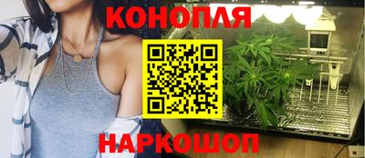 гидра Лесосибирск