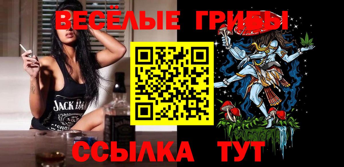 Заволжье  Псилоцибиновые грибы Cubensis  Вход с VPN 