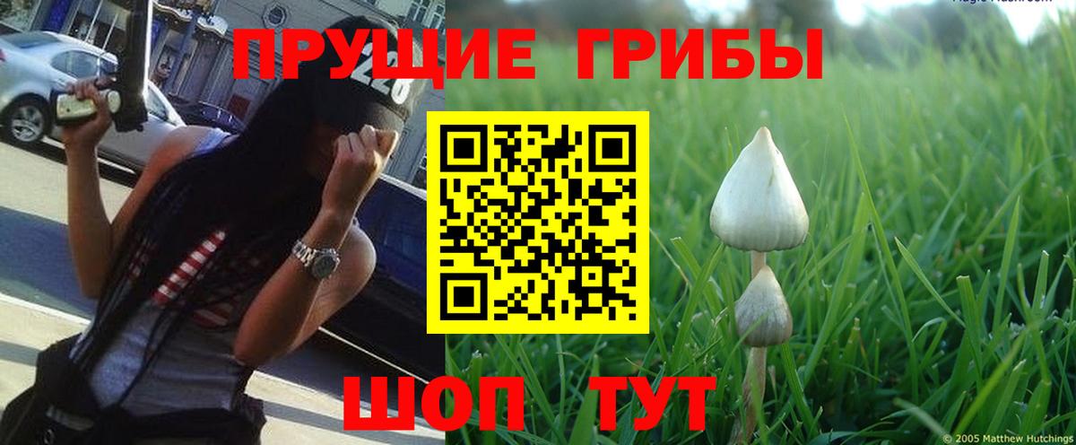 Псилоцибиновые грибы мухоморы Заволжье